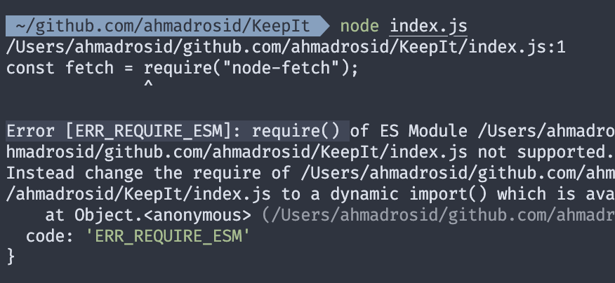 node-fetch-error